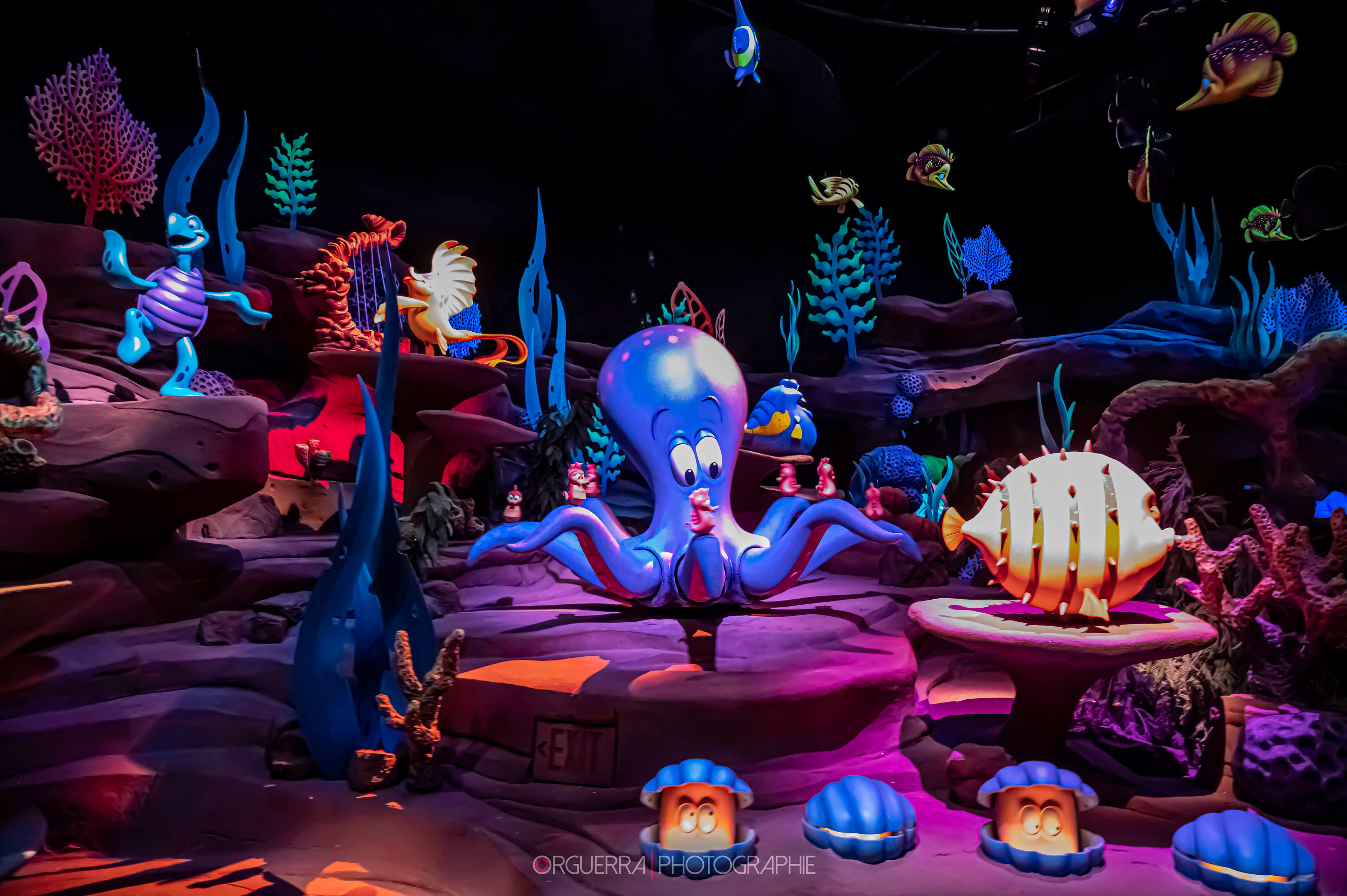Magic Kingdom | Walt Disney World